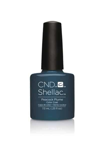 χρωματα shellac 2015 2016