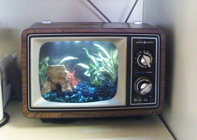 μεταμόρφωση παλιάς τηλεόρασης σε ενυδρείο